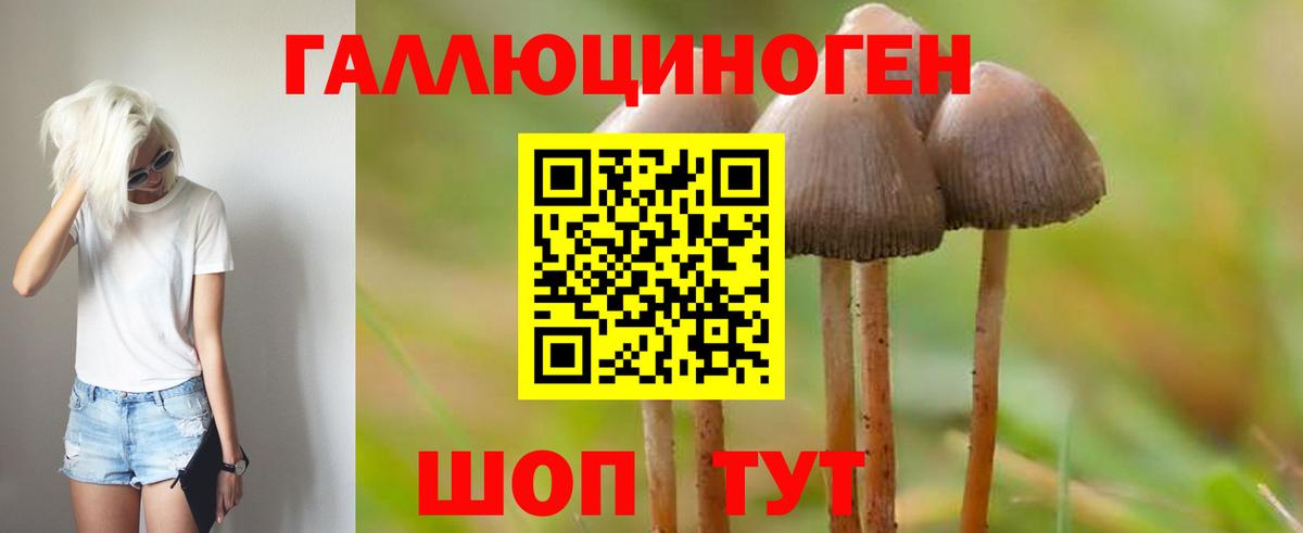 Галлюциногенные грибы мицелий  Вход с VPN  Новоалександровск 